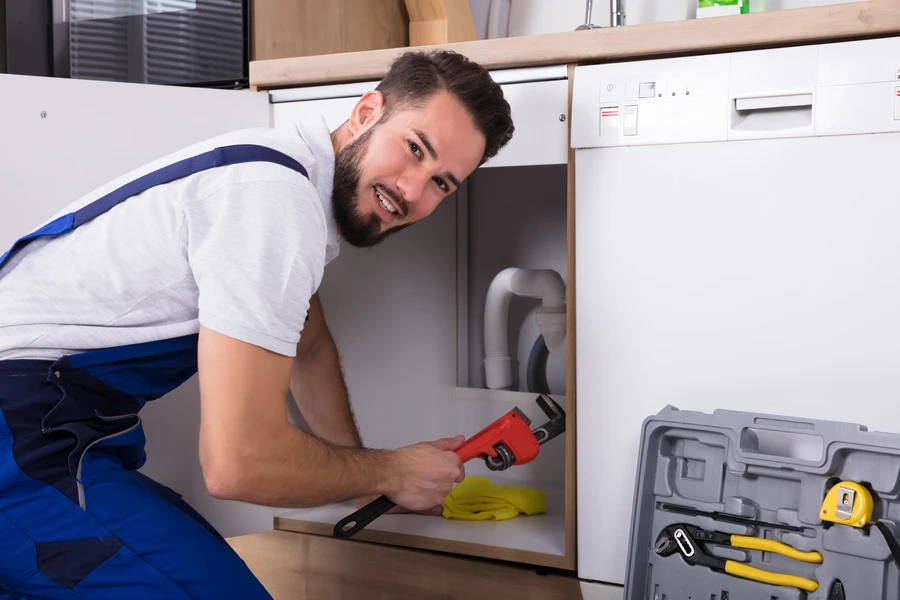 The Role Of Leak Detection In Preventing Mold Growth in Everett, WA The Role Of Leak Detection In Preventing Mold Growth in Everett, WA